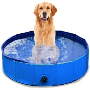 Kiddie & Pet Pool