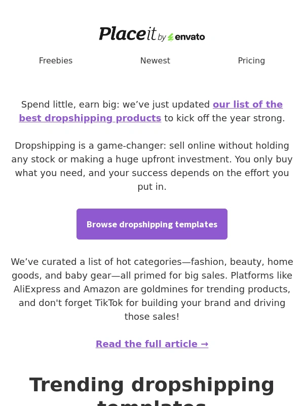 Placeit - Most lucrative dropshipping products for 2025