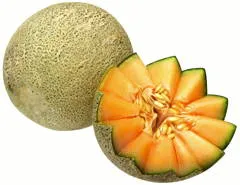 Cantaloupe Melon 1 Unit