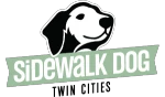 Sidewalk Dog