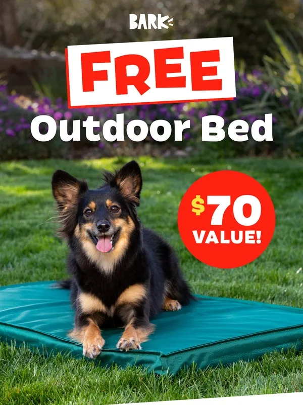 BarkBox - Unlocked: Free Outdoor Bed with Your Subscription!