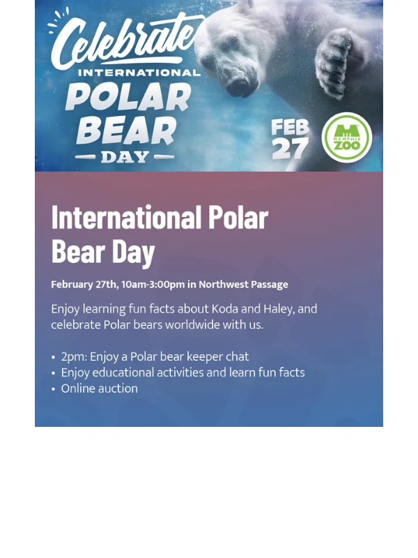Memphis Zoo - ?‍❄️ A Beary Amazing Day? Coming Right Up