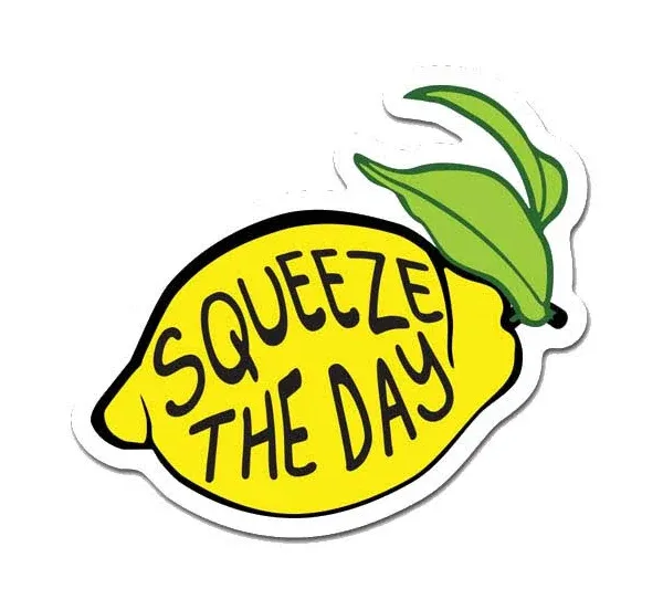 MightySkins Squeeze The Day Laptop Sticker Decal