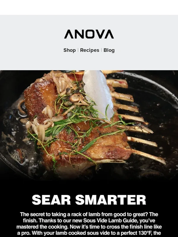 Anova - Take your lamb from good to great