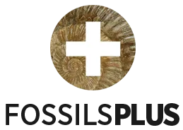 FossilsPlus