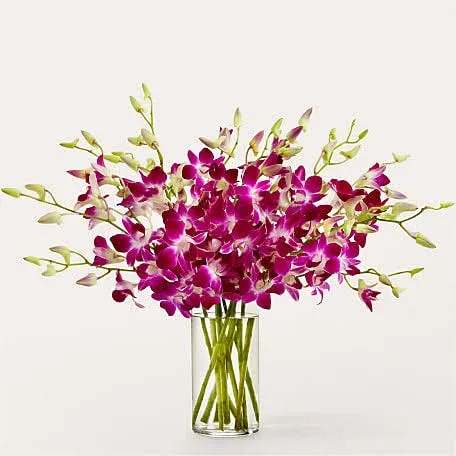 Proflowers Positively Purple Orchid Bouquet