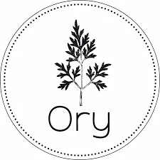 eBay Coupon
