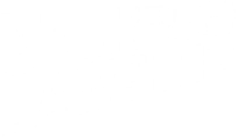 Self Publishing Formula