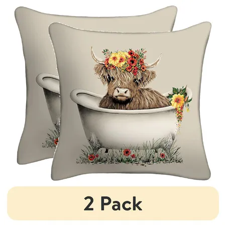 2-Pack 16"x16" Mainstays Decorative Outdoor Throw Pillow (Various)