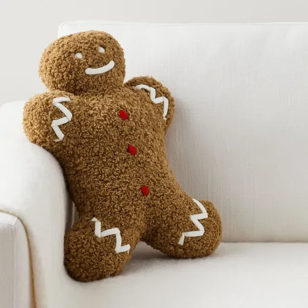 Pottery Barn Mr. Spice Gingerbread Pillow