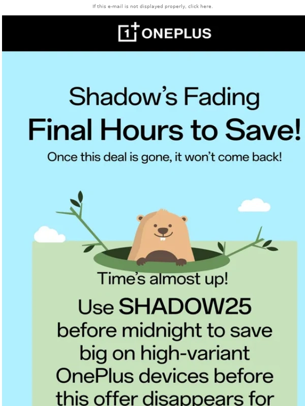 Oneplus - Will Savings See Their Shadow?
