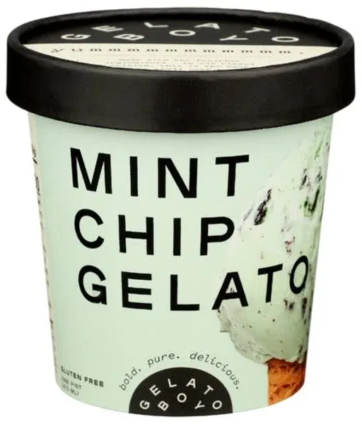 Gelato Boy Mint Chip Gelato