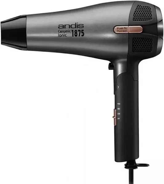 Andis Fold-N-Go Hair Dryer