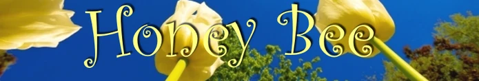 eBay Coupon
