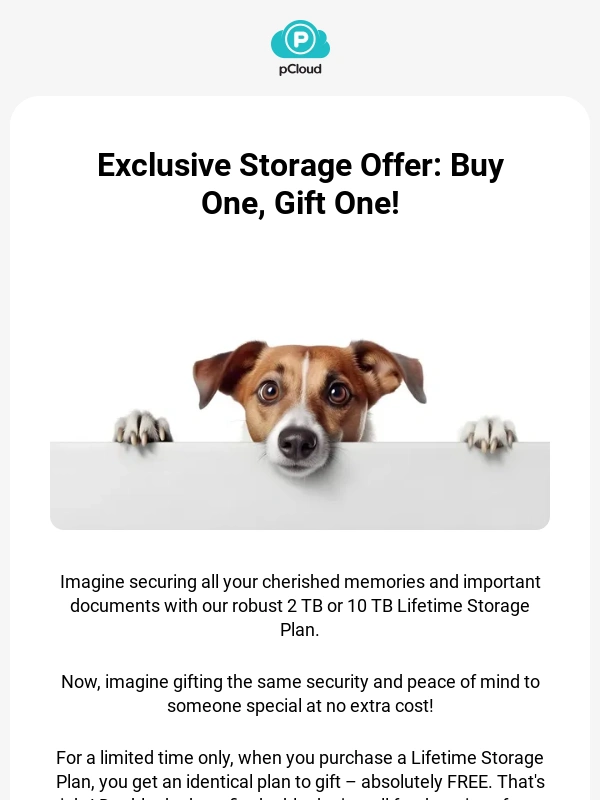 pCloud - A Valentine's Surprise Inside: 2 for 1 Deal!