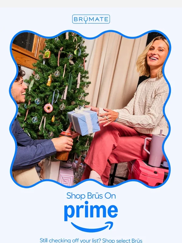 Brumate - Get Brüs on Time ?