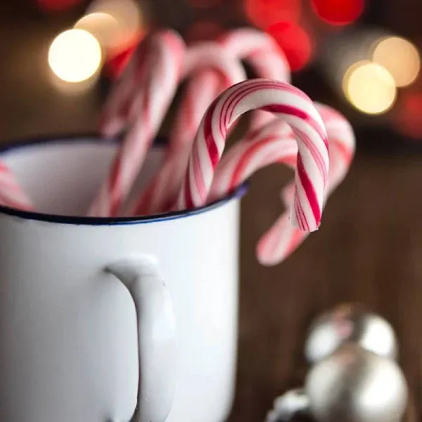 Bramble Berry Candy Cane Fragrance Oil