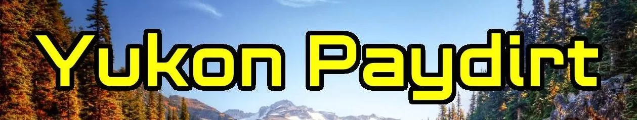 eBay Coupon