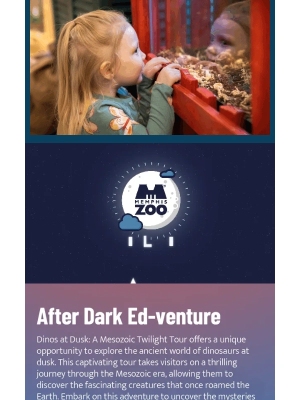 Memphis Zoo - ? 3 Ultimate Immersive Experiences You Don't Want to Miss
