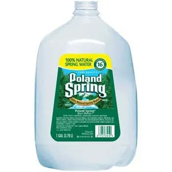 Poland Spring Natural Spring Water
