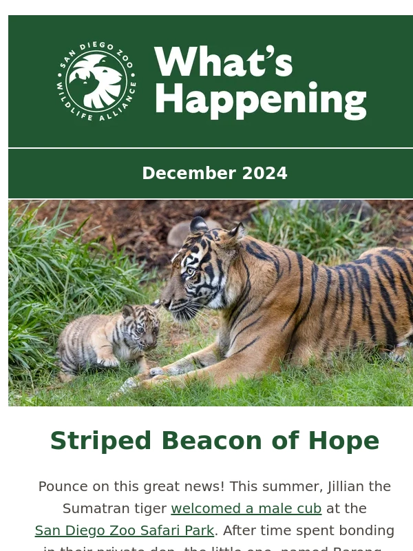 San Diego Zoo - Make Your December One to Remember ❄️??