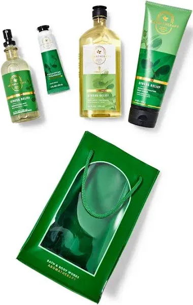 Bath & Body Works Eucalyptus Spearmint Gift Bag Set