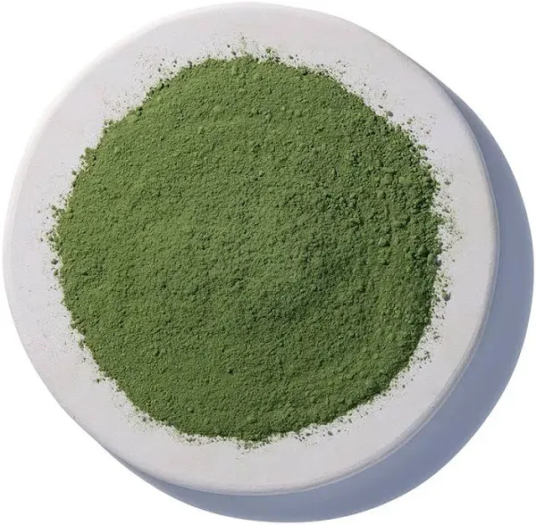 Starwest Botanicals Matcha Tea Powder