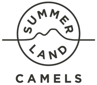 Summer Land Camels