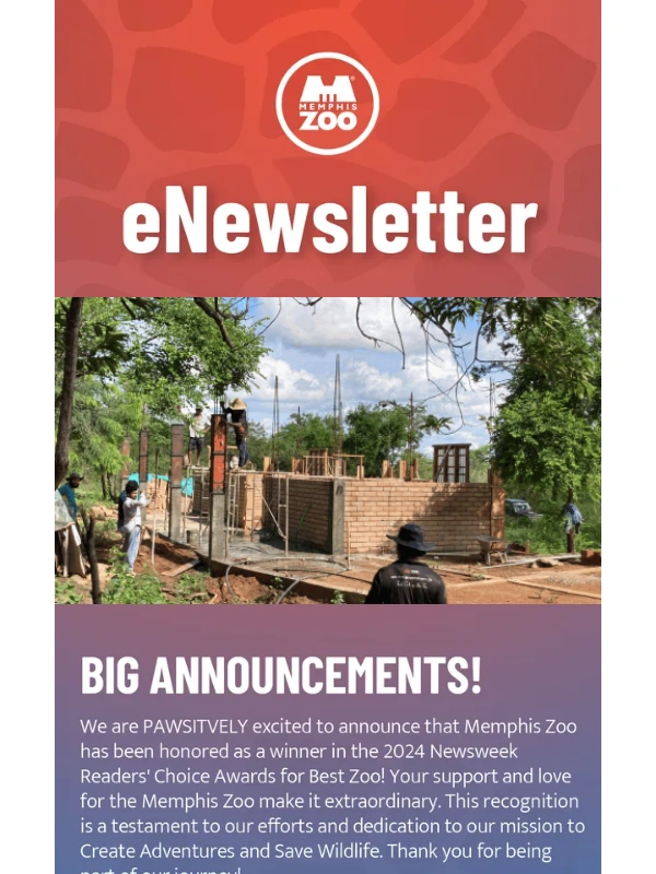 Memphis Zoo - ? Plushie Giveaway,?First Place Froggy,& Epic Nights Ahead