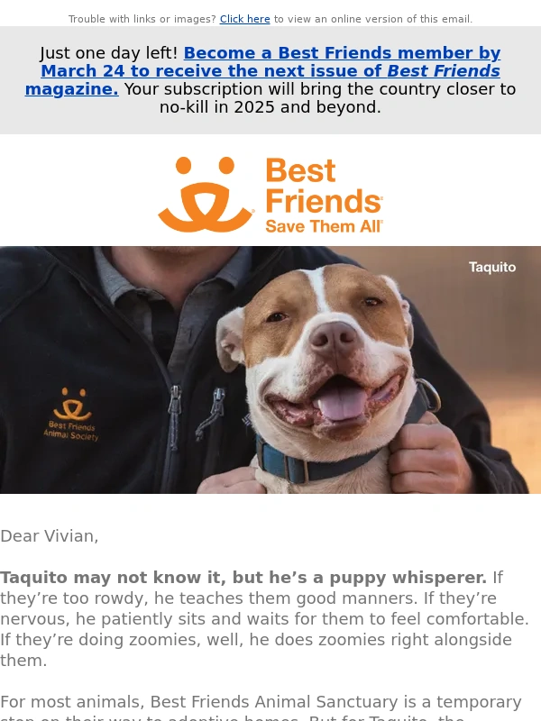 Best Friends - Save animals like Taquito by subscribing to a magazine