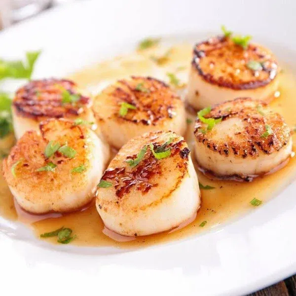 Alaska Scallops