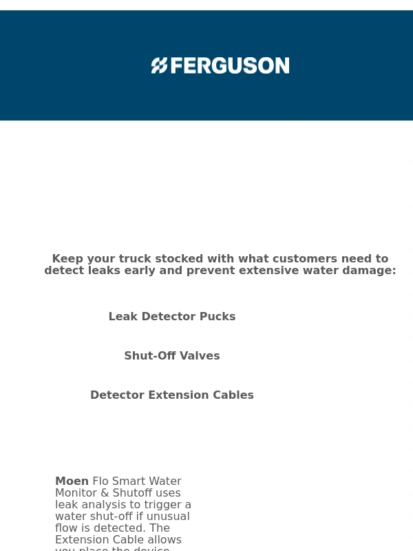 Ferguson - Assemble Your Leak Detection Dream Team