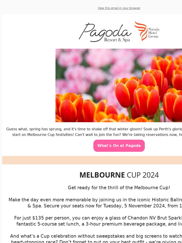 Pagoda - Melbourne Cup 2024 @ Pagoda