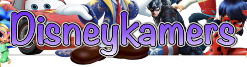 eBay Coupon