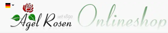 eBay Coupon