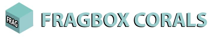 Fragbox