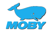 eBay Coupon
