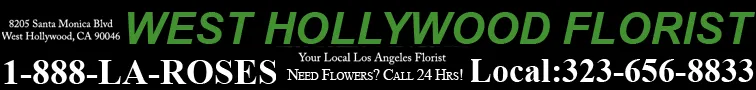 West Hollywood Florist