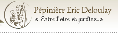 eBay Coupon