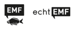 eBay Coupon
