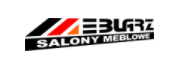 eBay Coupon