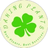 Dahing Plants