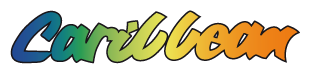 eBay Coupon