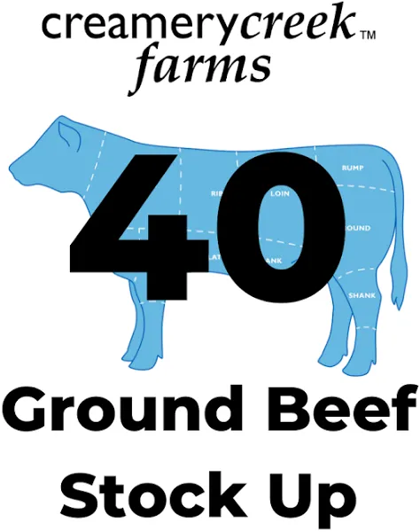 Dry Aged Ground Beef Stock Up