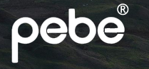 eBay Coupon