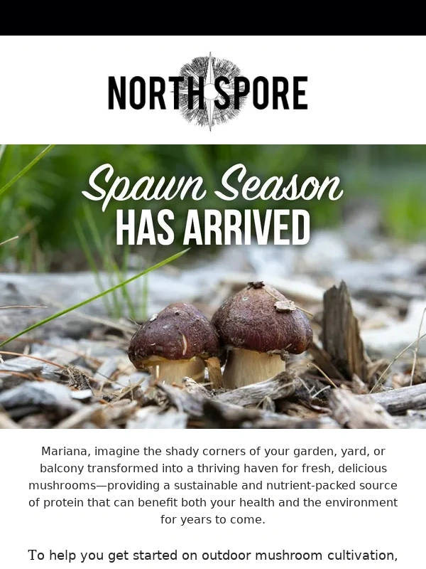 North Spore - Early bird gets the savings ??‍?