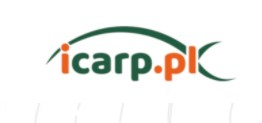 eBay Coupon