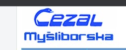 eBay Coupon