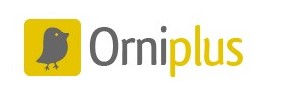 eBay Coupon