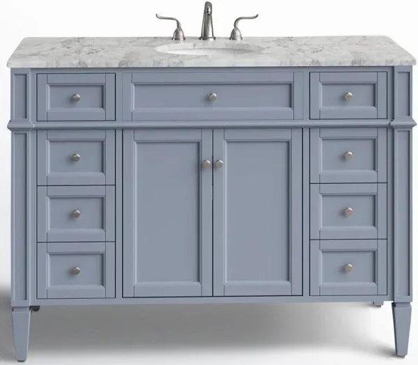 Birch Lane Rivers 48'' Single Bathroom Vanity